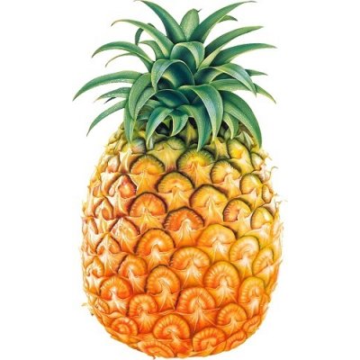 Ananas