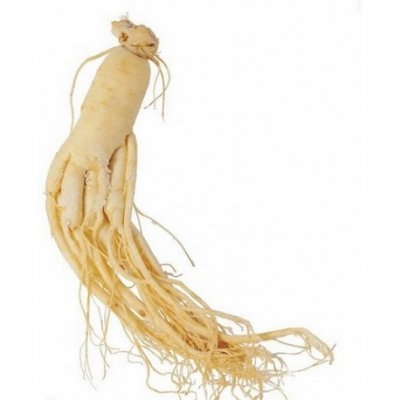 Ginseng