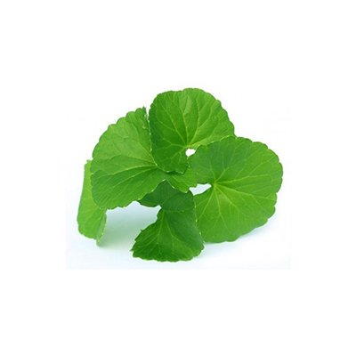 Gotu kola