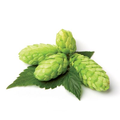 Houblon