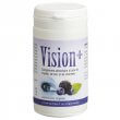 Vision Plus