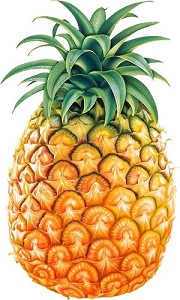 ananas