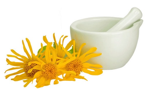 arnica teinture