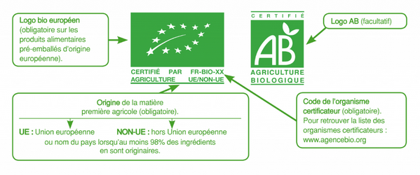 Charte Graphique Logo Bio