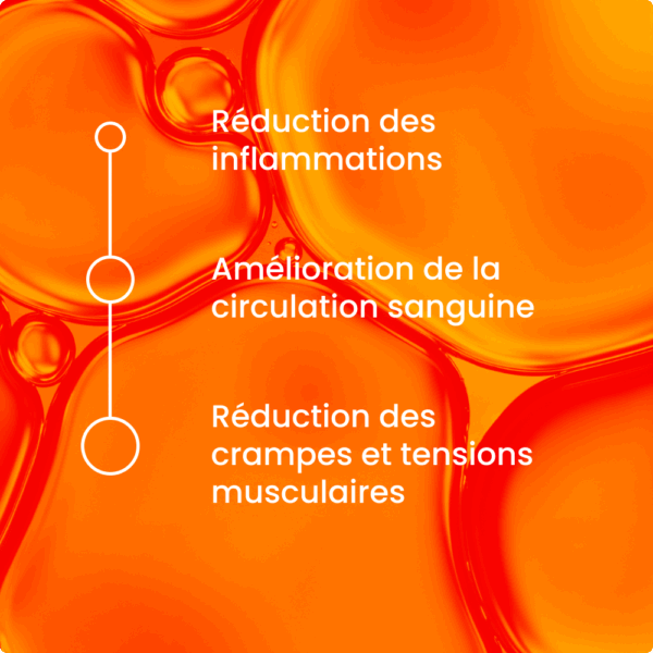 Pot Baume du Siam au Ginseng – Image 3