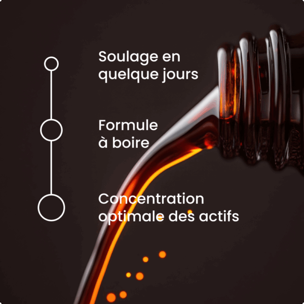 Sirop Baume du Siam au Ginseng – Image 3