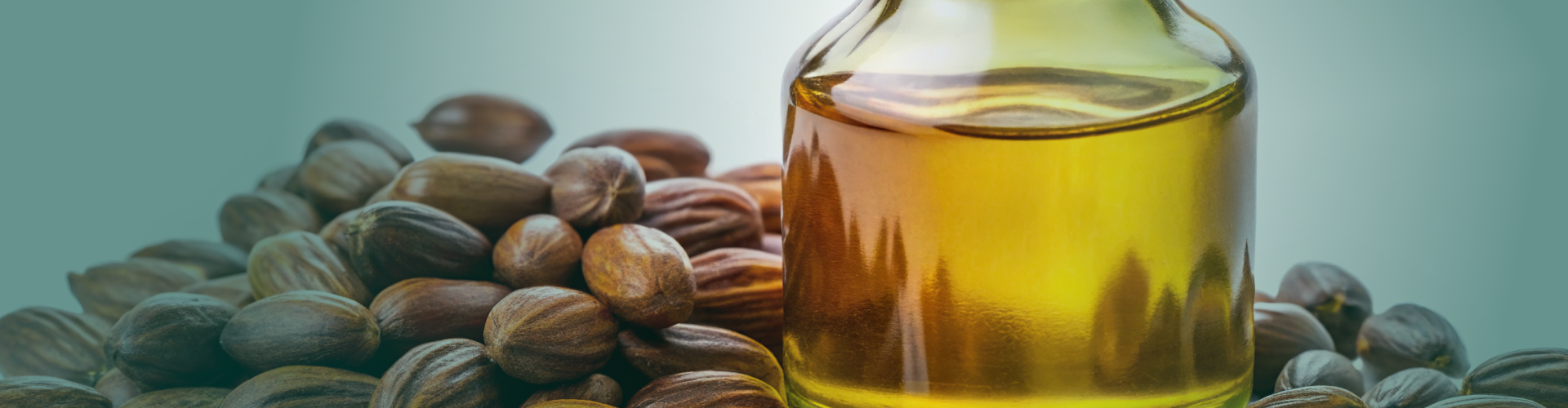 Jojoba (Simmondsia chinensis) : Bienfaits, usages et précautions